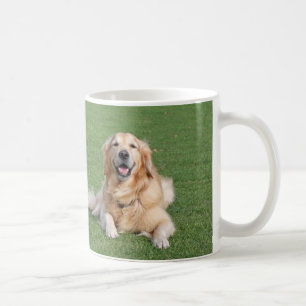 Zwei schöne goldene Retriever Tasse