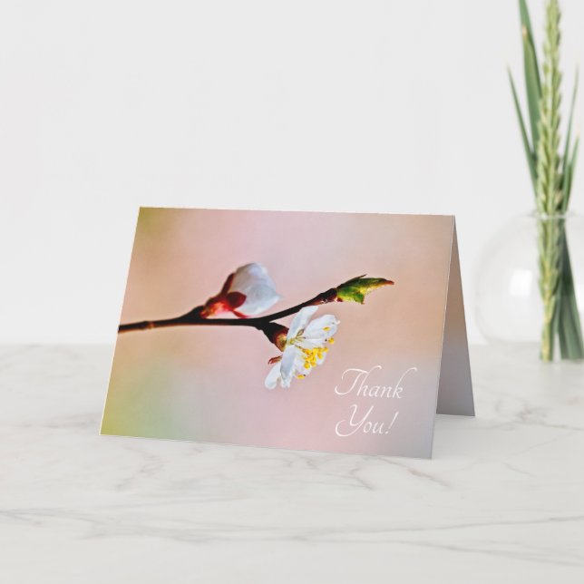 Zwei schöne japanische Apricot-Blume Dankeskarte (Vorderseite)