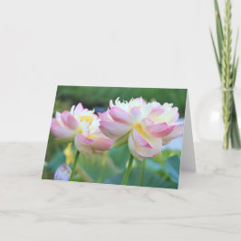 Zwei schöne Lotus-Blume Karte