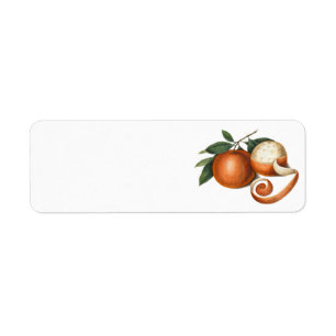 Zwei schöne Orangen - antike Malerei