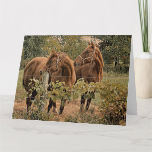 Zwei schöne Pferde - Happy Birthday Card Karte