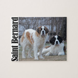 Zwei schöne Saint Bernard's Puzzle