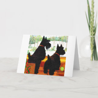 Zwei schottische Hunde zu Weihnachten