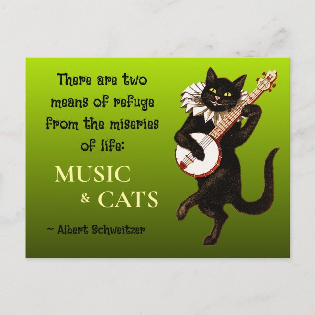 Zwei Schutzmittel Musik Katzen Schweitzer Postkarte (Vorderseite)