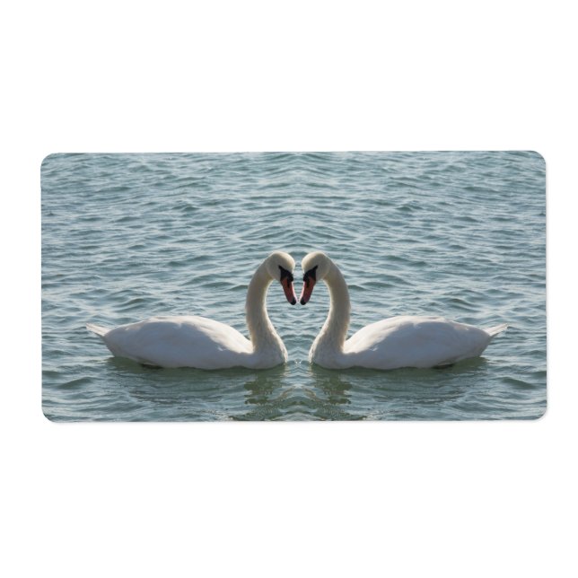 Zwei Schwäne (Vorne)