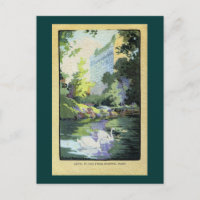 Zwei Schwäne im Central Park Lake