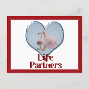 Zwei Schwäne schwimmen mit dem Text "Life Partners Postkarte
