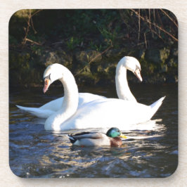Zwei Schwäne und eine Ente Getränkeuntersetzer