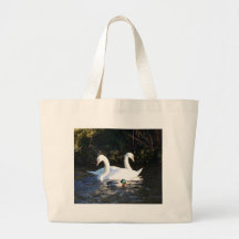 Zwei Schwäne und eine Ente