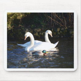 Zwei Schwäne und eine Ente Mousepad