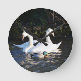 Zwei Schwäne und eine Ente Runde Wanduhr