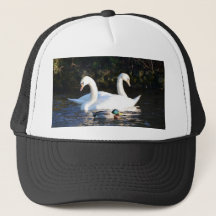 Zwei Schwäne und eine Ente