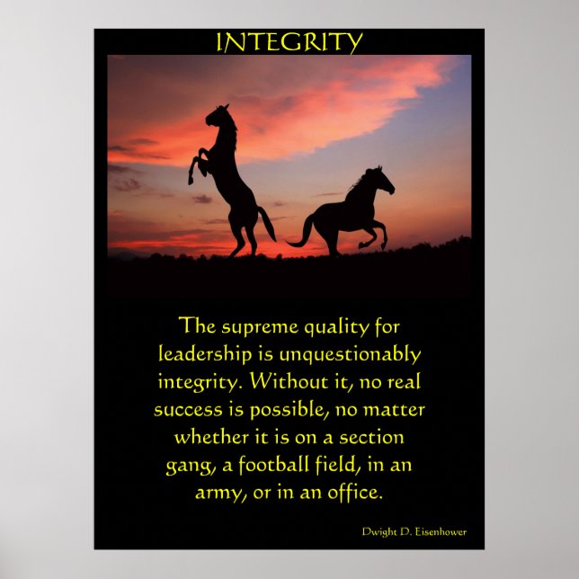 Zwei schwarze Hengste in einer Silhouette Poster (Vorne)