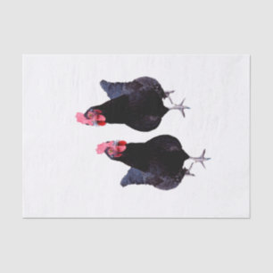 Zwei schwarze Hühner, Seidenpapier