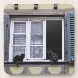Zwei schwarze Katzen am Fenster Untersetzer