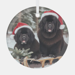 Zwei schwarze Newfs auf einem Schlitten Ornament Aus Glas