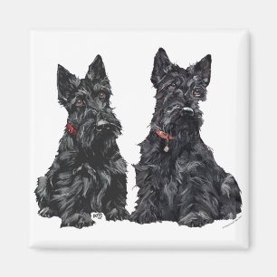 Zwei schwarze Scottish Terrier Magnet