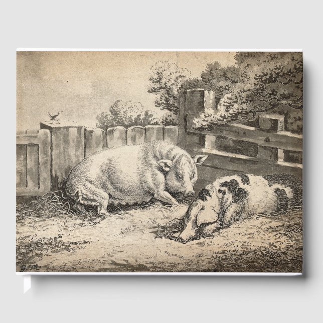 Zwei Schweine, die in Strohhalm in einem Außengebl Gästebuch (Vorderseite)