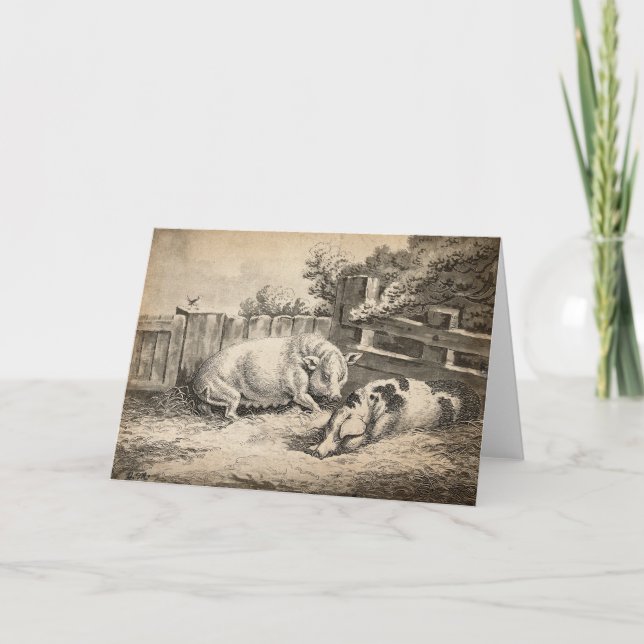Zwei Schweine, die in Strohhalm in einem Außengebl Karte (Vorderseite)