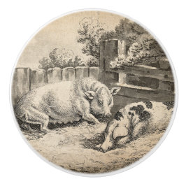 Zwei Schweine, die in Strohhalm in einem Außengebl Keramikknauf