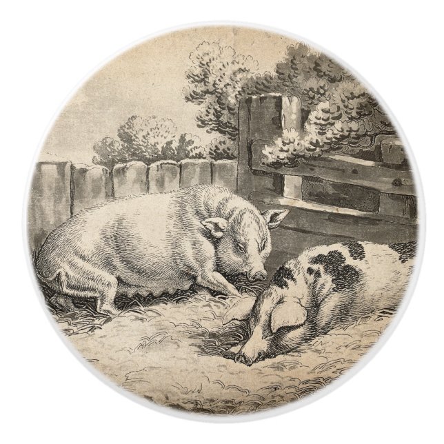 Zwei Schweine, die in Strohhalm in einem Außengebl Keramikknauf (Vorderseite)