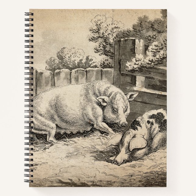 Zwei Schweine, die in Strohhalm in einem Außengebl Notizbuch (Vorderseite)