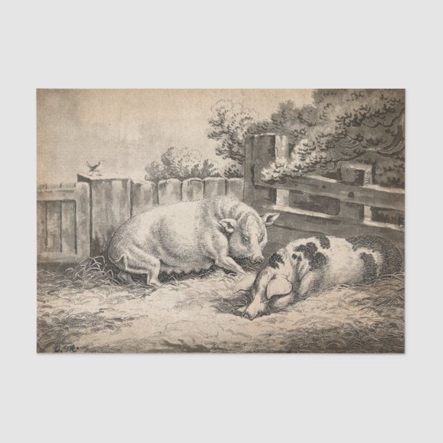 Zwei Schweine, die in Strohhalm in einem Außengebl Seidenpapier (Vorderseite)