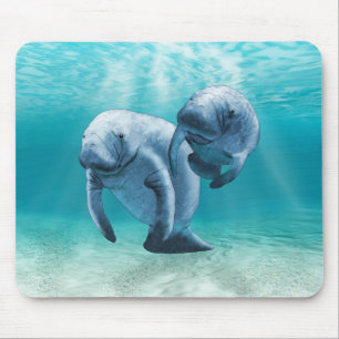 Zwei schwimmende Manatis Mousepad