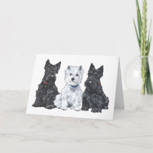 Zwei Scotties und ein Westie Karte