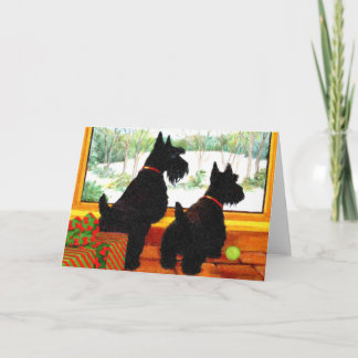 Zwei Scotty Hunde am Weihnachten
