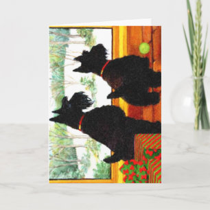 Zwei Scotty Hunde am Weihnachten