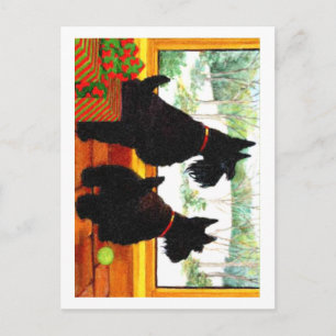 Zwei Scotty Hunde zu Weihnachten