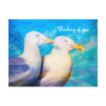 Zwei Seagulls Blue Sky