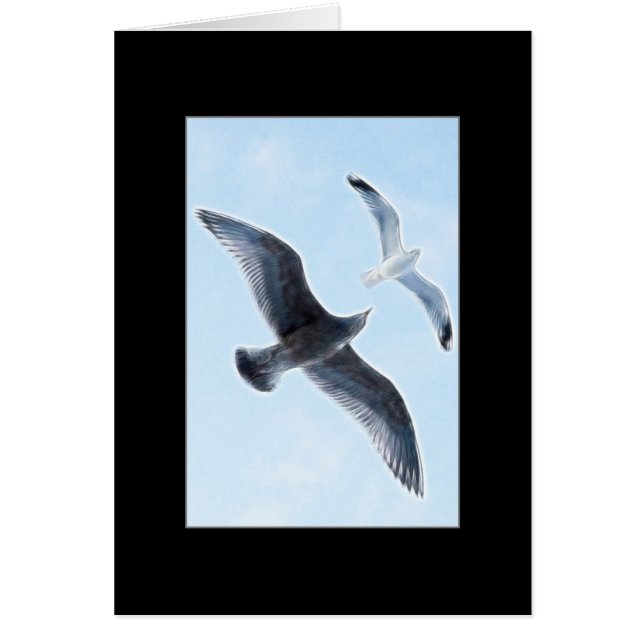 Zwei Seemöwen (Vorne)