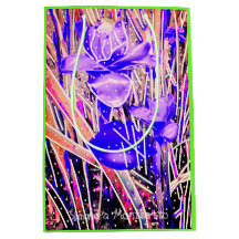 ZWEI SEITEN ART DUO Scroll Collection Geschenktasc