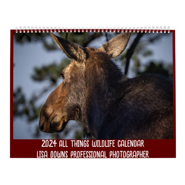 Zwei Seiten großer Kalender, weiß Kalender (Titelbild)