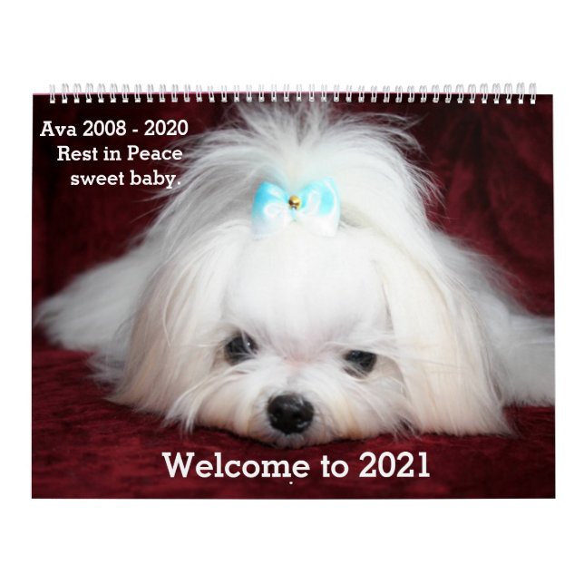 Zwei Seiten großer Kalender, weißer Kalender (Titelbild)