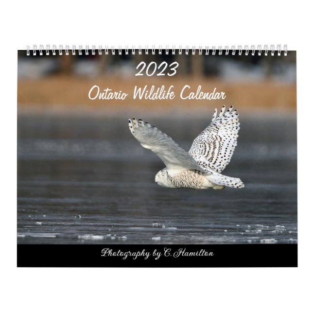 Zwei Seiten MediumKalender, weiß Kalender (Titelbild)