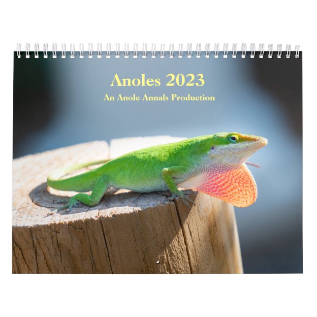 Zwei Seiten MediumKalender, weiß Kalender (Titelbild)