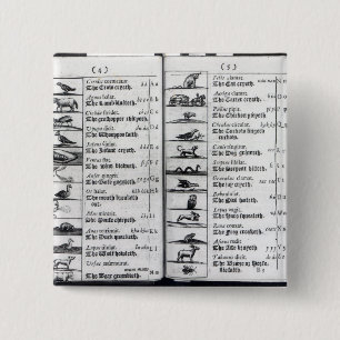 Zwei Seiten von 'Orbis Sensualium Pictus Button