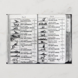 Zwei Seiten von "Orbis Sensualium Pictus" Postkarte