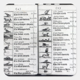Zwei Seiten von "Orbis Sensualium Pictus" Quadratischer Aufkleber