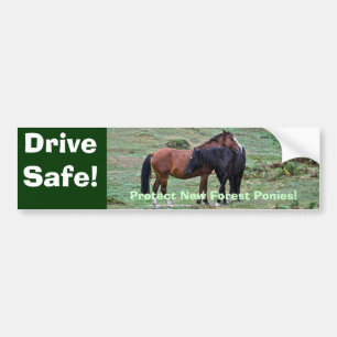 Zwei seltene, wilde New Forest Pony Friends in Eng Autoaufkleber