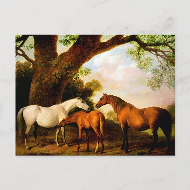 Zwei Shafto Mares und ein Fohlen von George Stubbs Postkarte (Vorderseite)