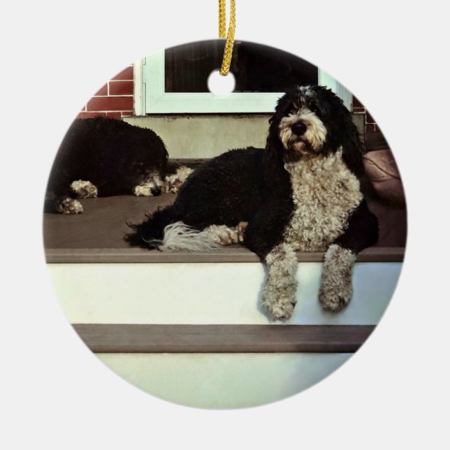 Zwei Sheepadoodles auf der Veranda Keramik Ornament (Vorne)