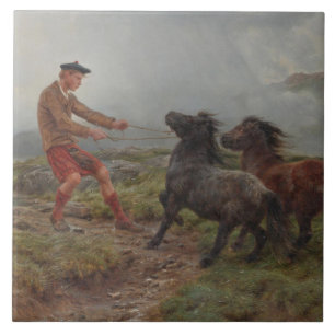 Zwei Shetland Ponys in einer malerischen Hochlands Fliese