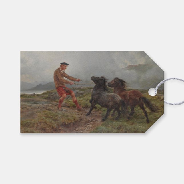 Zwei Shetland Ponys in einer misty schottischen La Geschenkanhänger (Vorderseite (Horizontal))