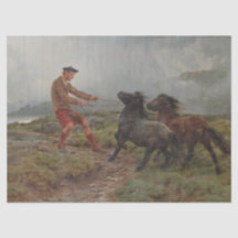 Zwei Shetland Ponys in einer misty schottischen La