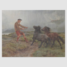 Zwei Shetland Ponys in einer misty schottischen La Seidenpapier