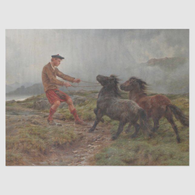 Zwei Shetland Ponys in einer misty schottischen La Seidenpapier (Vorderseite)